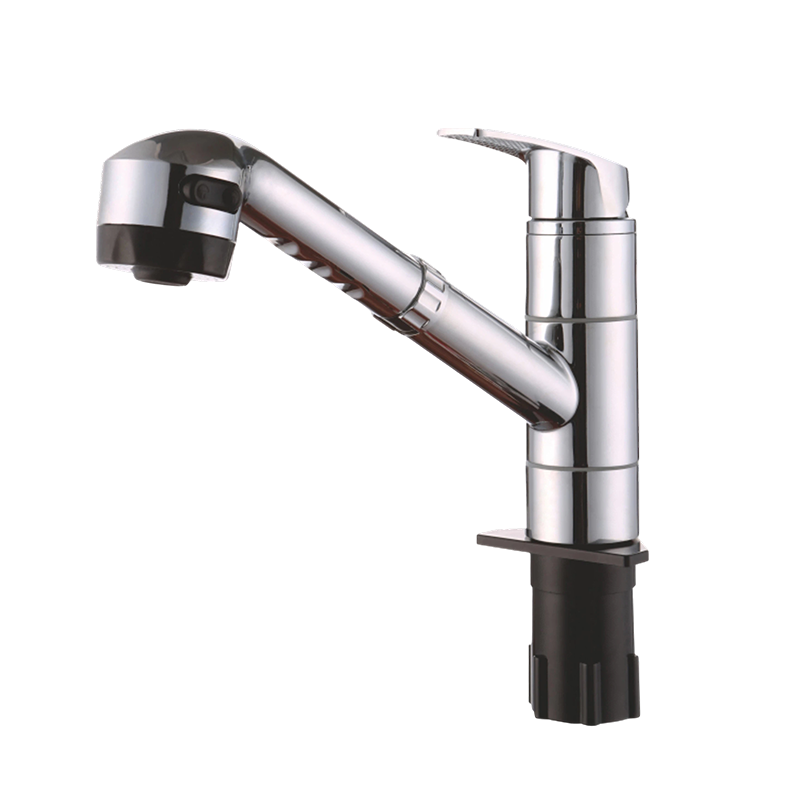 Plastic Y-Typed Pull-Out Kitchen Faucet