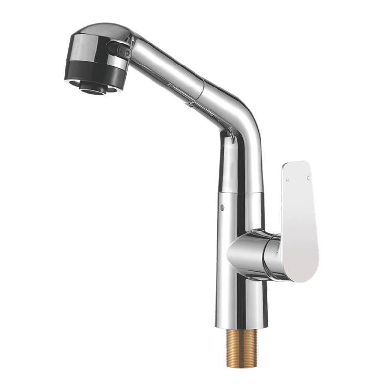 Plastic Pull-Out Kitchen Faucet